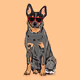 DiggetyDog.032-Australian Cattle Dog