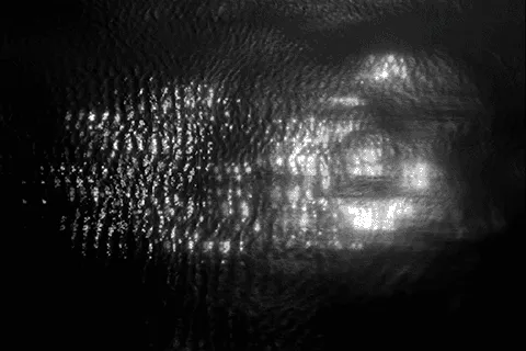 Item #43935573006869687421940908989294236573118200621307951795374297324808508014599 Media