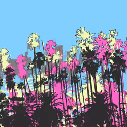 The City of Palm trees