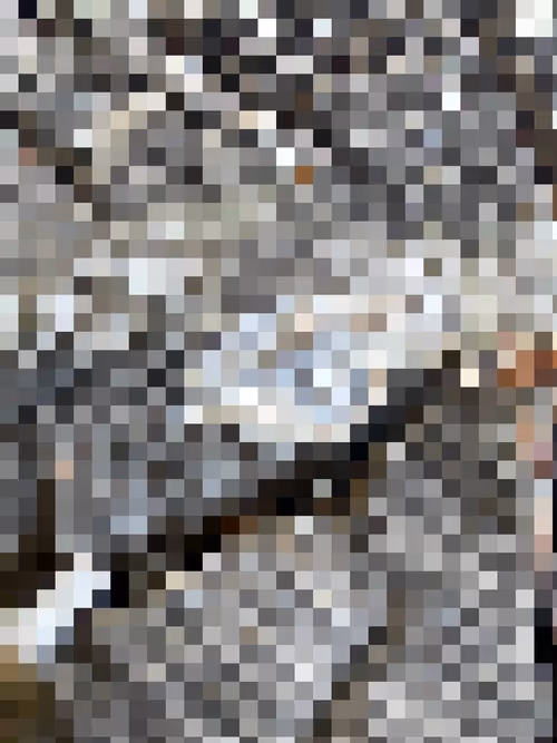 Item #2850415134272365380187775685678842410458265265709128331682257634918630686721 Media