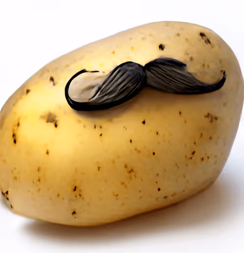 Item #89453679004792973964086315898979416074642512060565453225198959603389980213258 Media