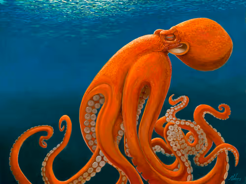 Item #80664583166715799761198844096283981962147416828196170924476407837723556052993 Media