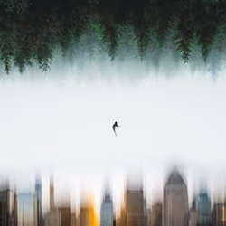 Towards Nature
