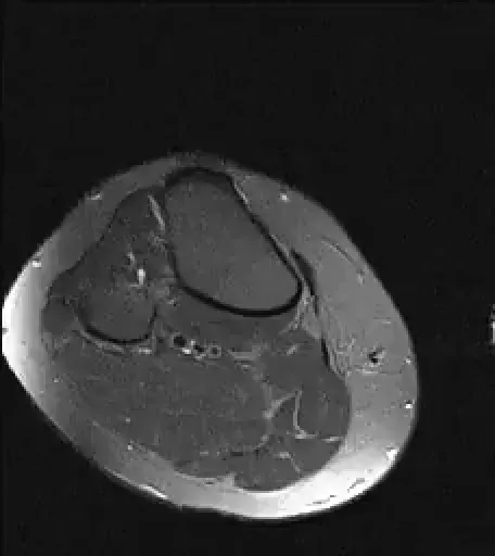 Item #11780915356901891937150191052604117223978980698243640119023280898163704070145 Media