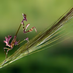 Walking #9