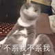 aaa26