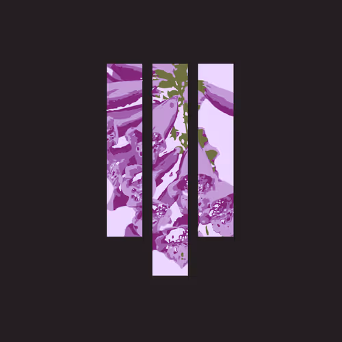 Item #29008197723445170224752126728879248507814565459110707248252660323345200316417 Media