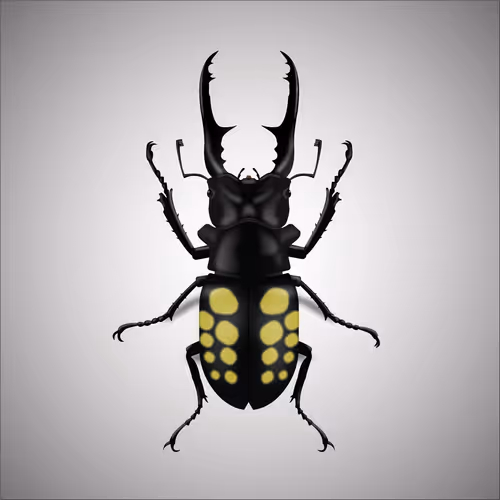 Item #15006194083360452165747859706250248338064014496976576965207407596196178427905 Media