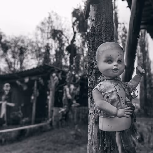 Island of the Dolls 4