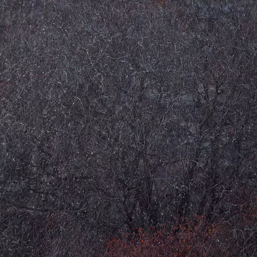 Item #111819353391232385355292732865064309059161123936801669989557009011906912976897 Media