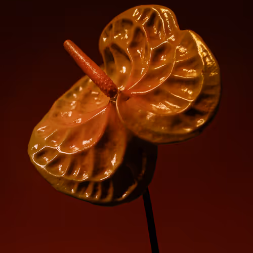 Flowerfarmnft