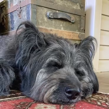 Item #31032485861556932047512782212507255574784711127847173487196557296213898035201 Media