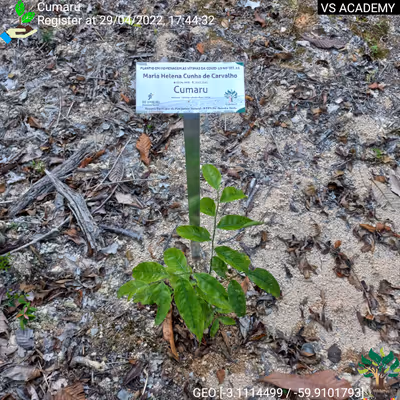 Item #8500196597889277390194123329501889087166328879864934763448348842408011628545 Media