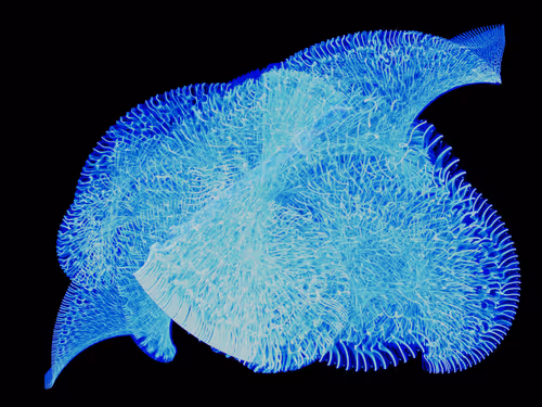 Item #45731211464929816441170859700976373292149702980452148839612469050163656130561 Media