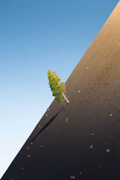 Item #39071023685345521589531013450918722216572370939070752972983331649823365398529 Media