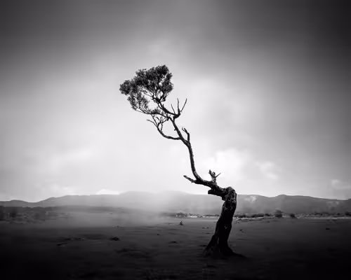 Item #46448320690235251329430811416754344806900568811050689934660167660052049559553 Media