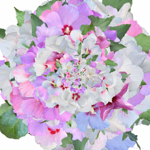 Item #57079712582191126887516961639482112914535436253999342571416194866019525722113 Media