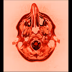 64162533542198579898252916190583583845604629893829087458582975598457947947009