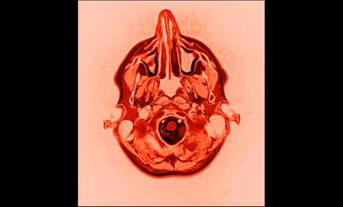 Item #64162533542198579898252916190583583845604629893829087458582975598457947947009 Media