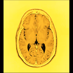 64162533542198579898252916190583583845604629893829087458582976566028180389889