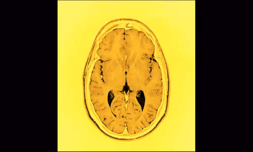 Item #64162533542198579898252916190583583845604629893829087458582976566028180389889 Media