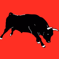 CRYPTO BULL #6