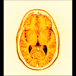 64162533542198579898252916190583583845604629893829087458582976568227203645441