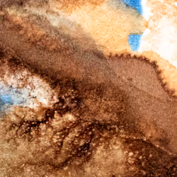 Cyanotype – Cosmos – 5% - #3