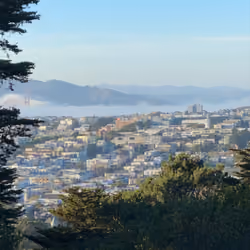 Bay area. 