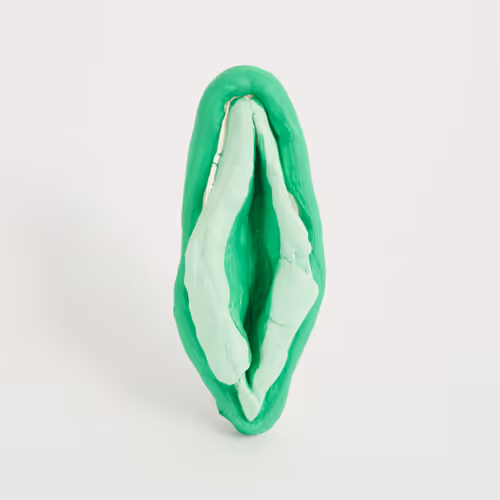 Vaginanfts