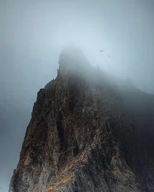 Item #3675481411317596523649091696801759419370078050223984411814034753603598548993 Media