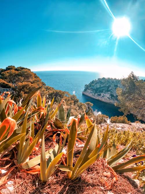 Item #38518121465561927767335068220041833566284498023600994966798612447405031817217 Media