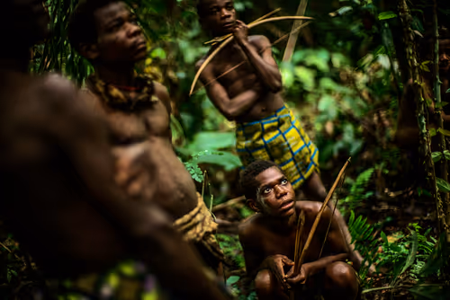 Item #28410794678939122859492626871196116087705428262137093470030241680053925576705 Media