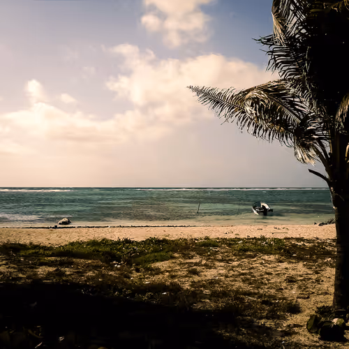 Item #21926675412478956437867617810974213951134164027418523158913384689711498395649 Media