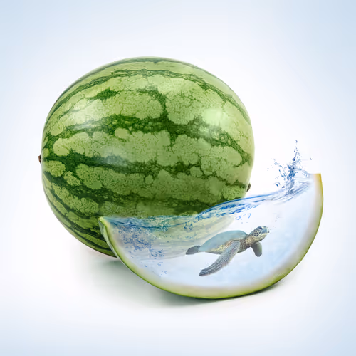 Item #106580283699910290873703354905682240836804791678744298625308732519501082394625 Media