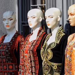 #77 The Mannequin Society