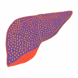 28824502245252267217549902857601847351510039266873569823091148344847341977601