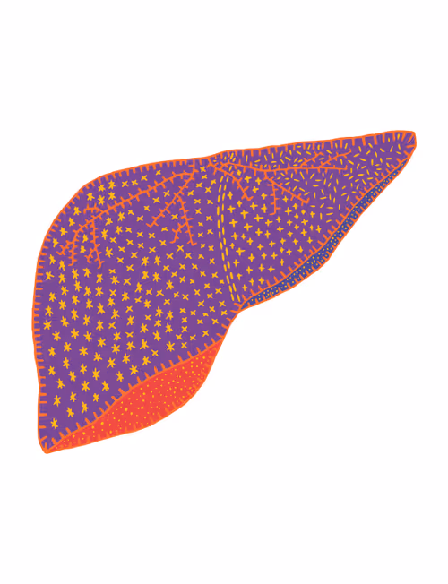 Item #28824502245252267217549902857601847351510039266873569823091148344847341977601 Media