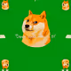 55575360221028374465659771733000318579577403829328624053715759502102817144833