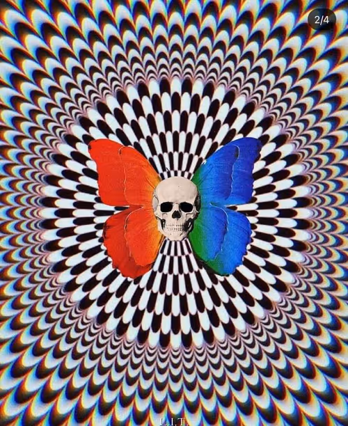 Item #60979459884181488878441332397836673675051601445568783240135866978613361377281 Media