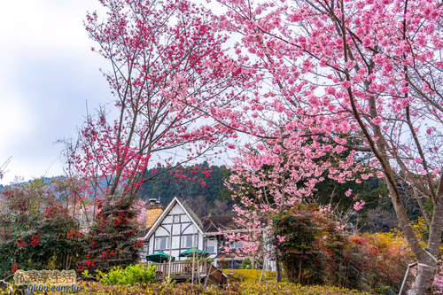 Item #100744422725674417057824683306763013505668843176654858816283483987907606216705 Media