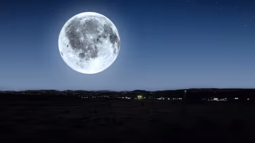 Item #21039152315860840398840656611329030066490619825103953688087864263795818889217 Media