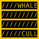 27485441570339410751458161112170074865610546237329051408727591426232332320769