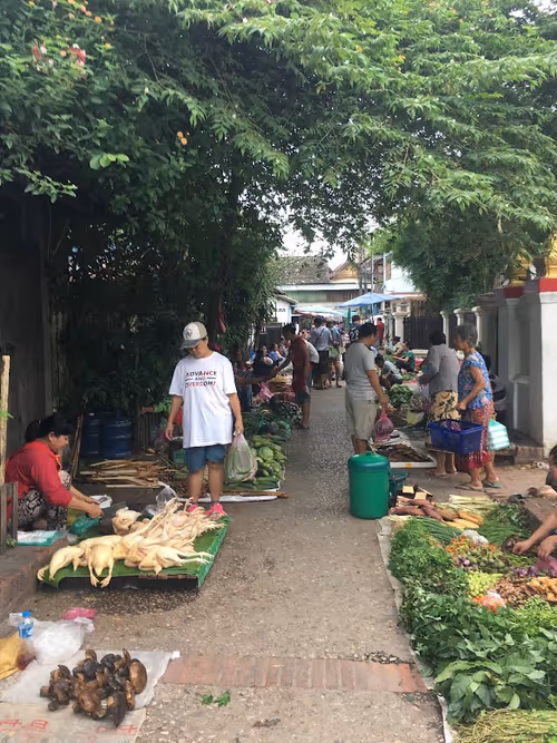 Item #40129036347338487732493830186327944618305484146391989675731997383117382877384 Media