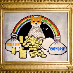Shiboshi X Coinbase