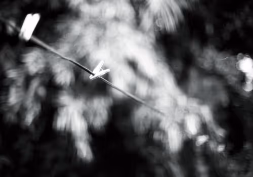 Item #84959981716225864493476618462304724133826851655422953024680602869389353549825 Media