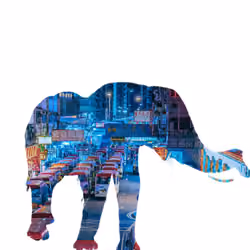 Invisible City Elephant #2