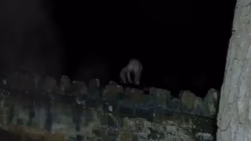 Item #21738801616770372336866524520270387981900494007181752835104445592558224015361 Media