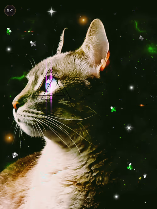 Item #56114814756646127397705002134489221206320113324181291230627375185416297644033 Media