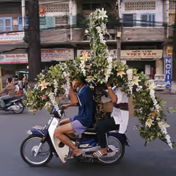 Bikes of Burden #77. Flower Arch.
